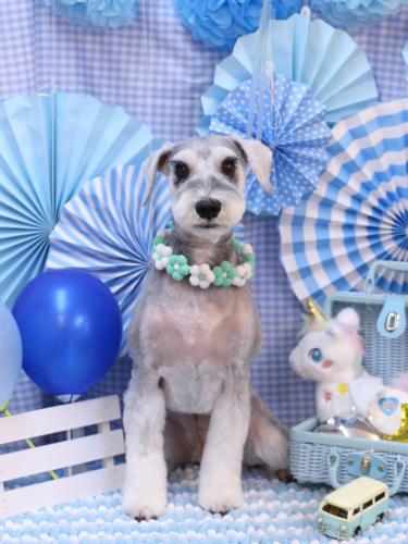 20231105りくくん